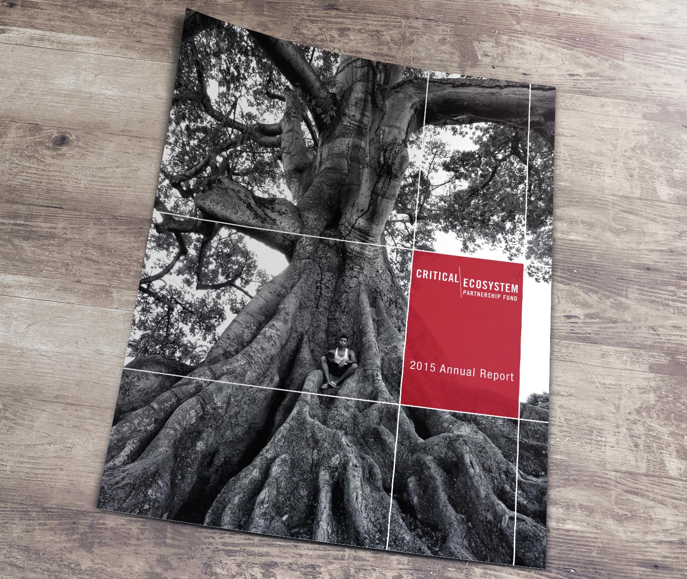CEPF 2015 Annual Report