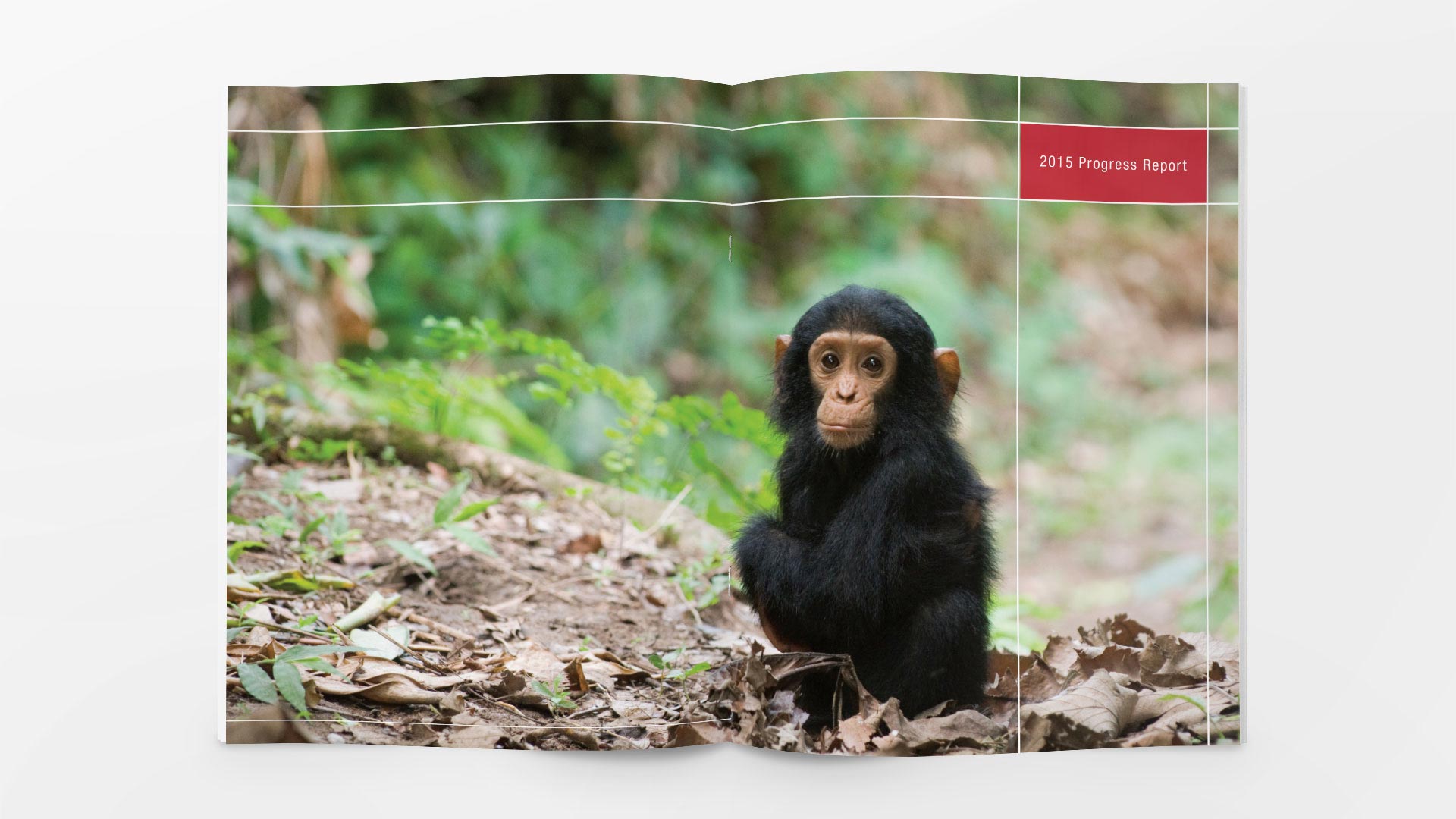 CEPF 2015 Annual Report