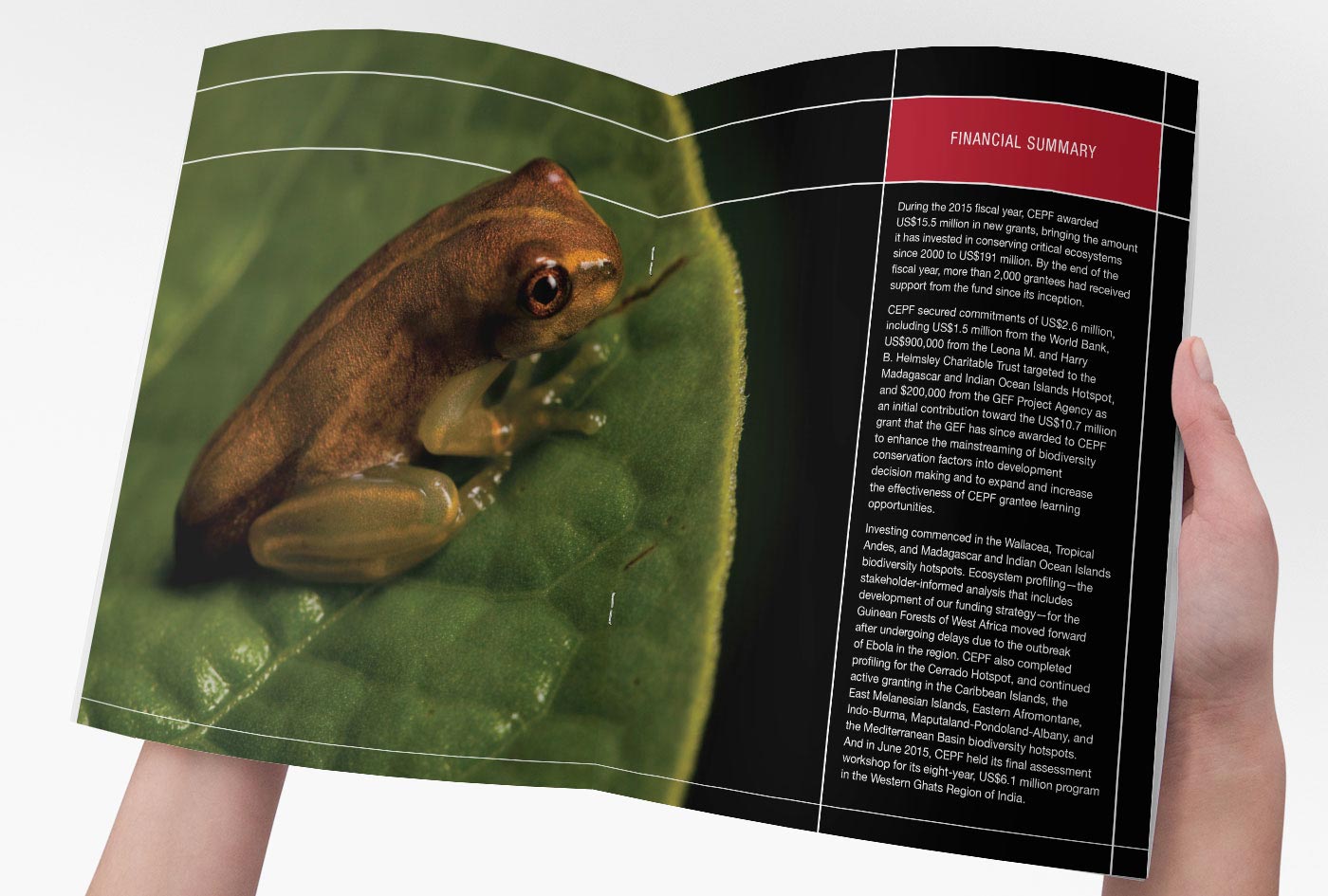 CEPF 2015 Annual Report