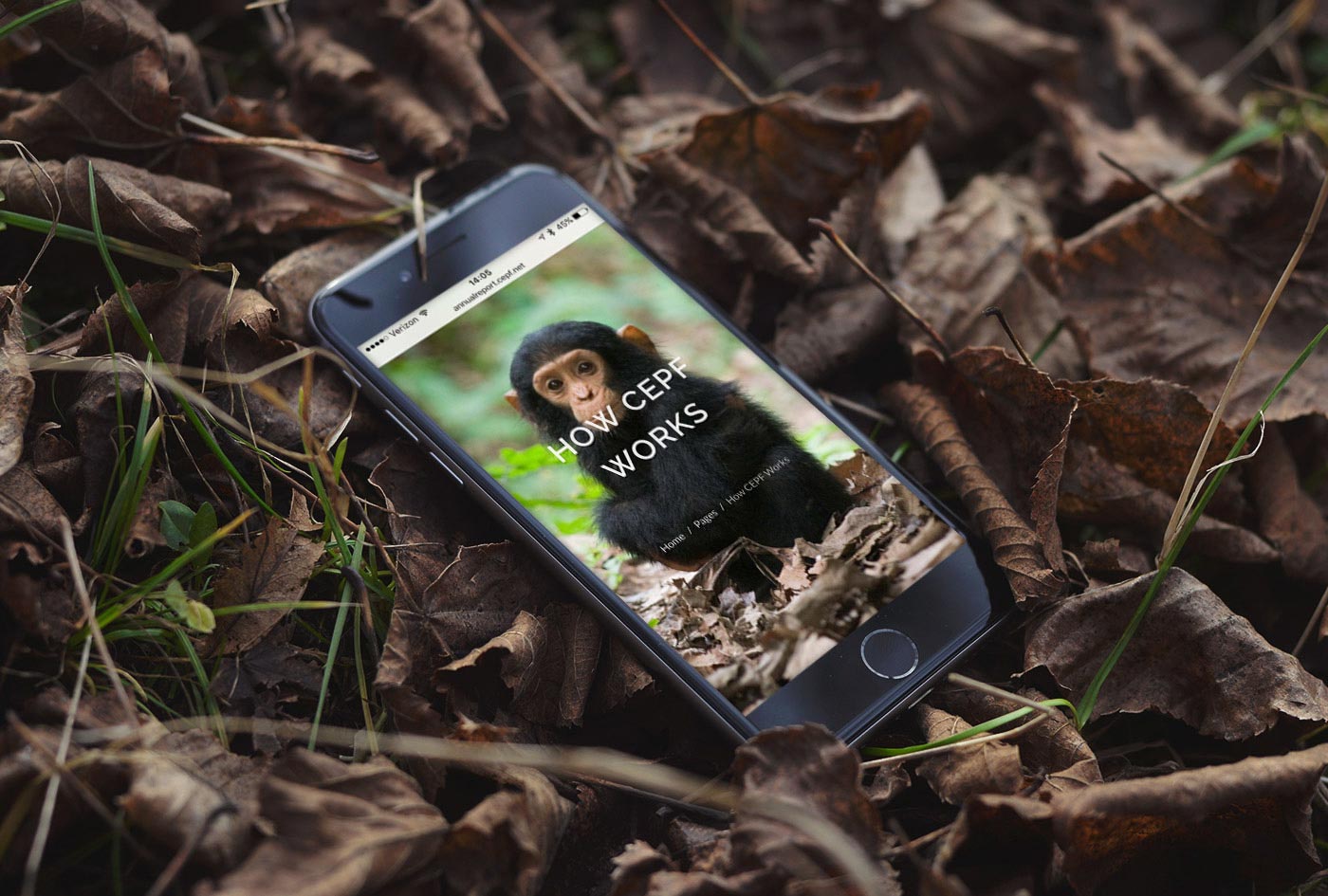 CEPF 2015 Online Annual Report