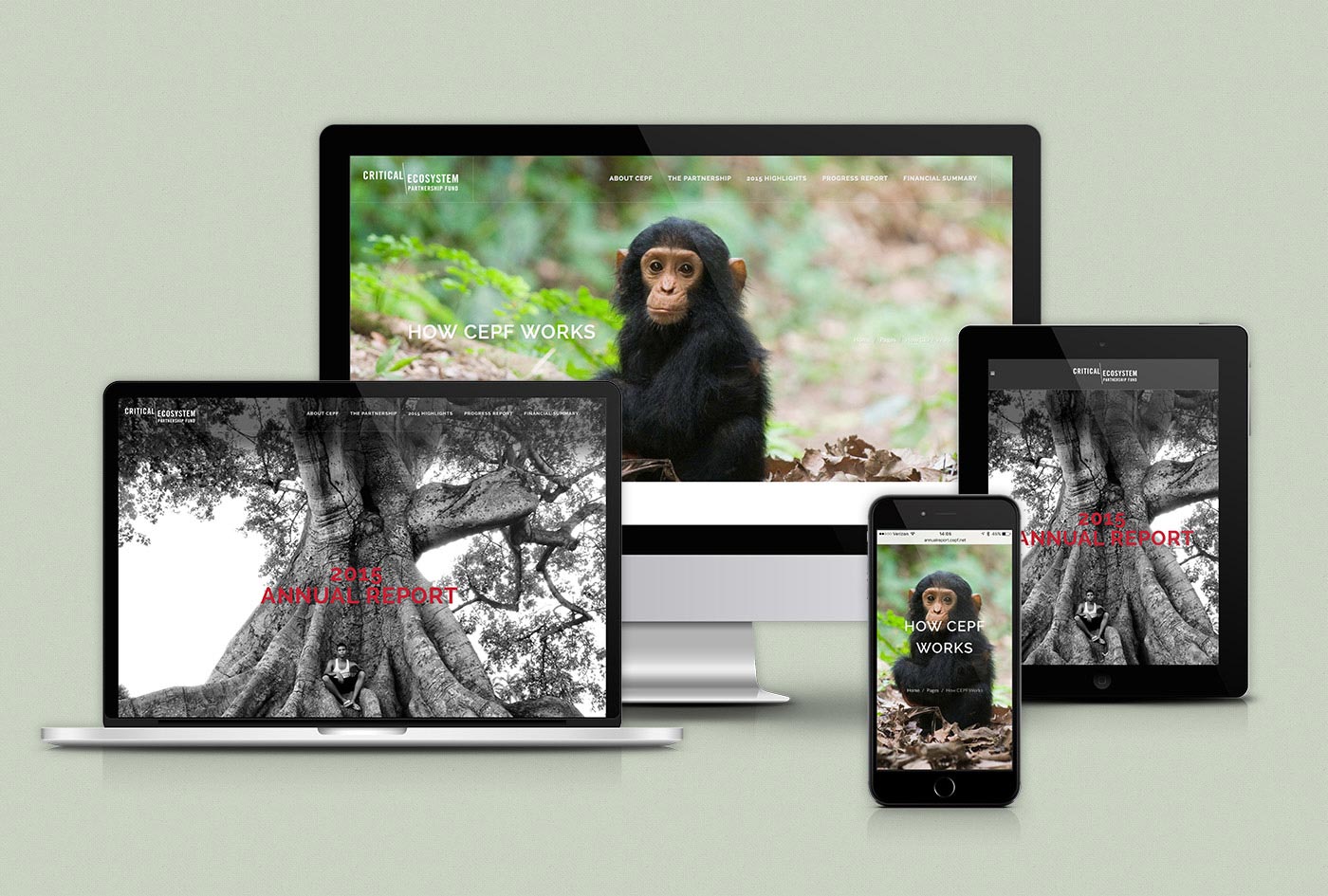 CEPF 2015 Online Annual Report