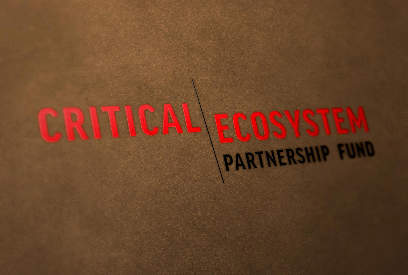 CEPF Branding