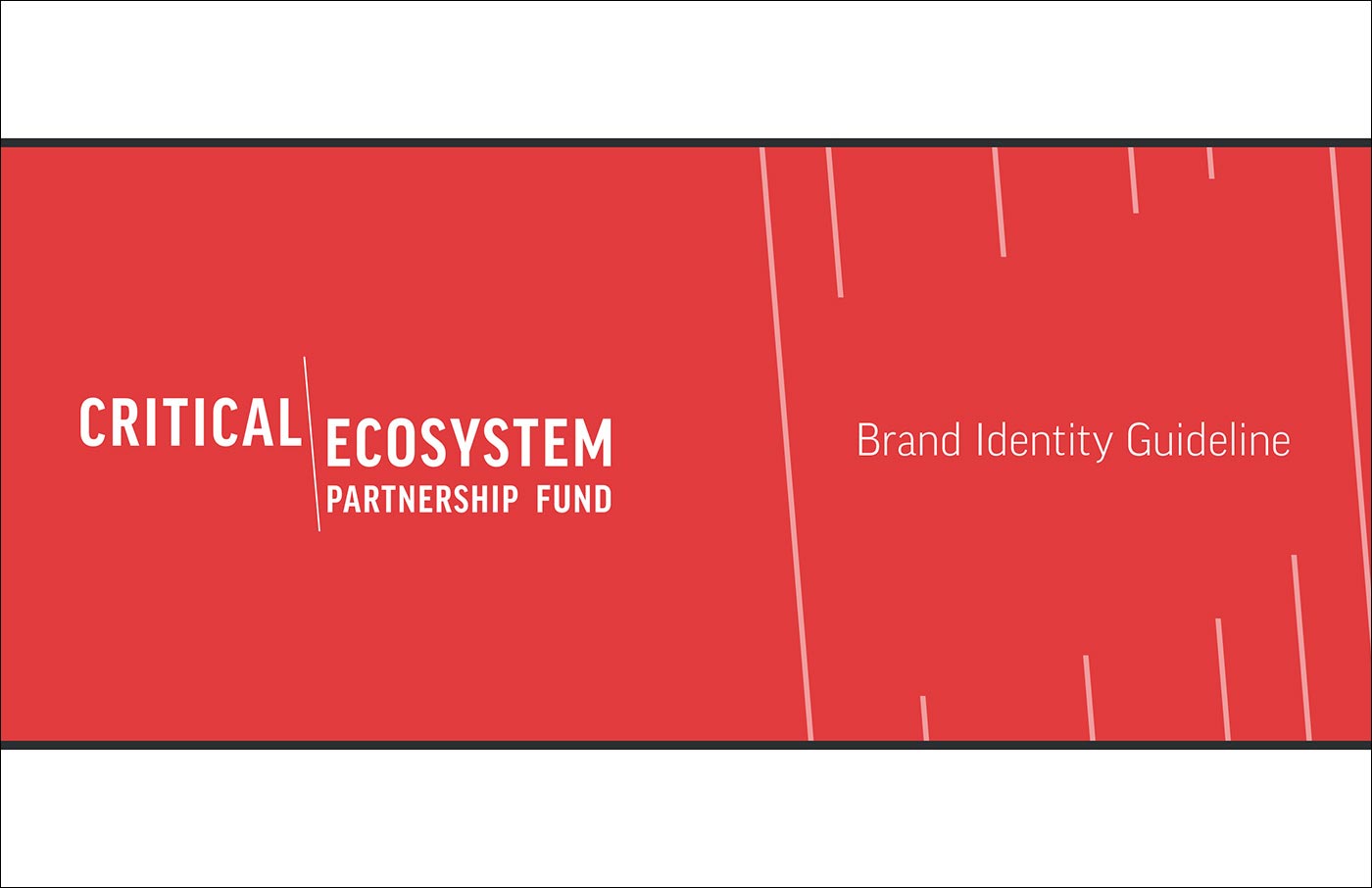 CEPF Branding